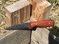 Damascus pairing knife
