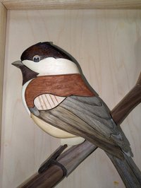 Intarsia Chickadee