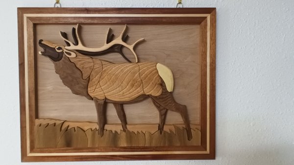 Elk